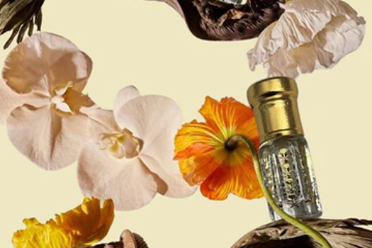 Perfume Making Supplies