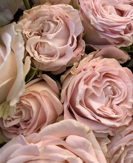 Candle Fragrance Oils